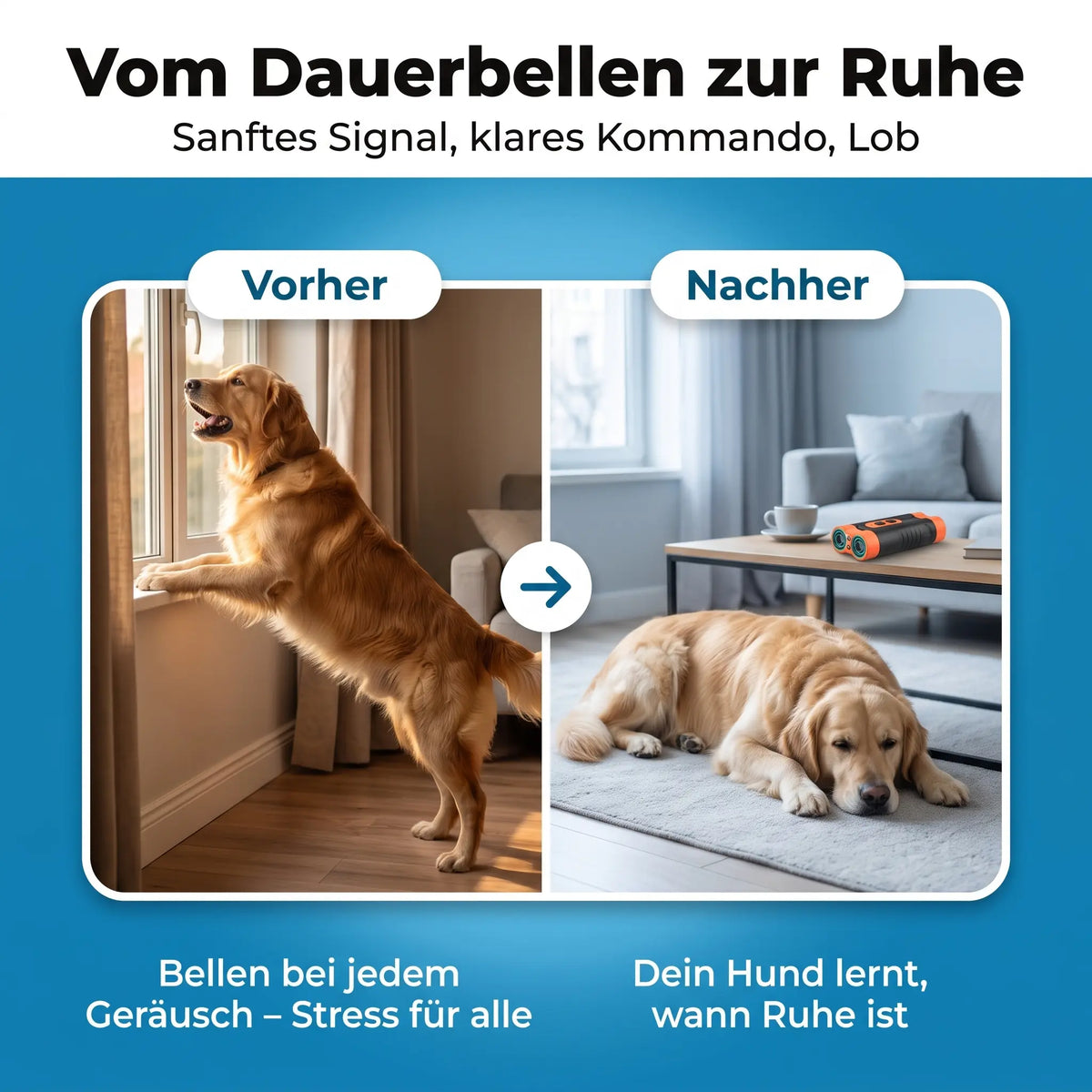 Fellyra™ - RuheHeld Ultraschall-Trainer