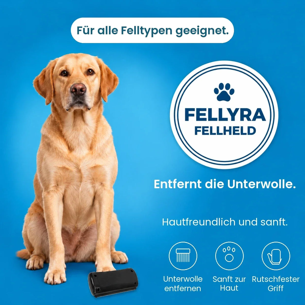 Fellyra FellHeld – Galerie 07