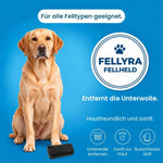 Fellyra FellHeld – Galerie 07